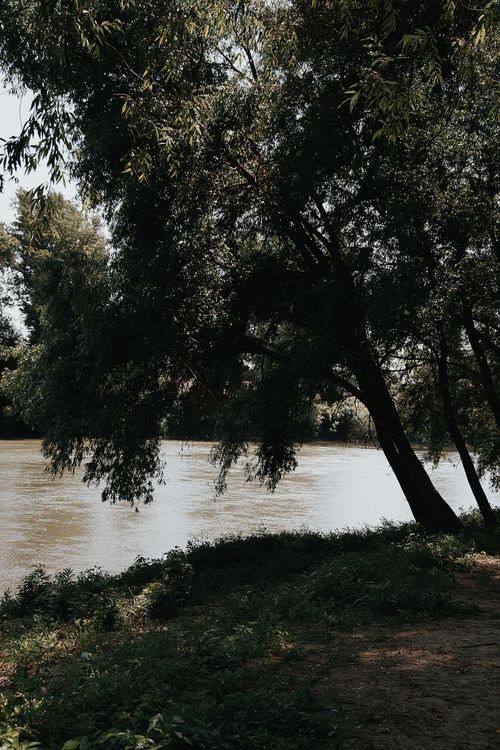 Free Serene river landscape with lush trees creating tranquil scenery in Hungary. Stock Photo