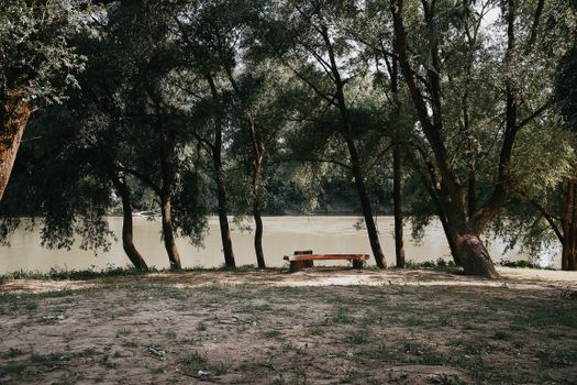 Tranquil riverside scene with a park bench under lush trees, Hungary.
