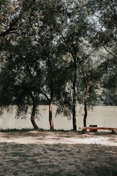 Tranquil riverside scene in Hungary with an empty bench under lush trees.