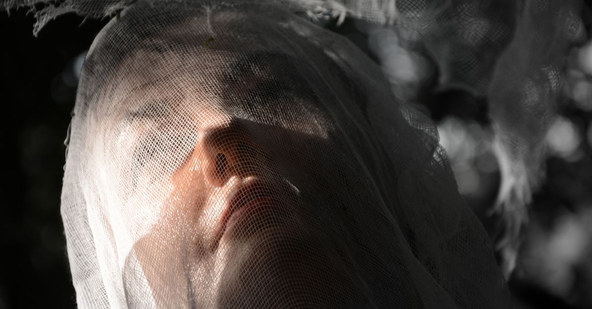 The Contemporary Trends in Artistic Photography