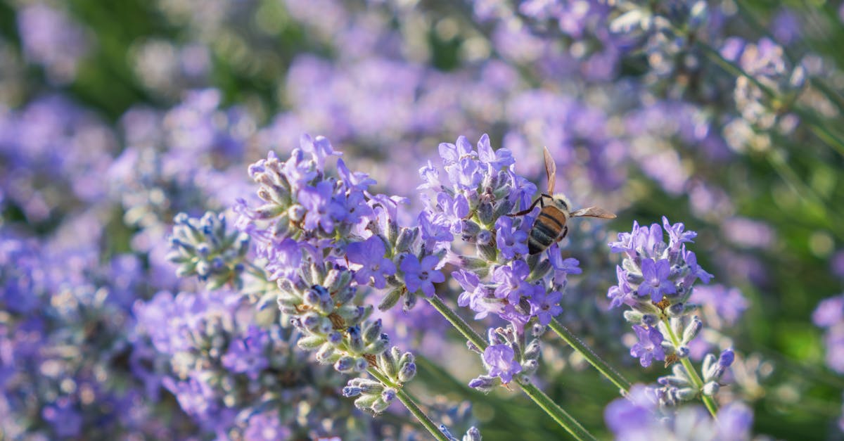 嗅覺領路的永續生活提案 風土氣味練習