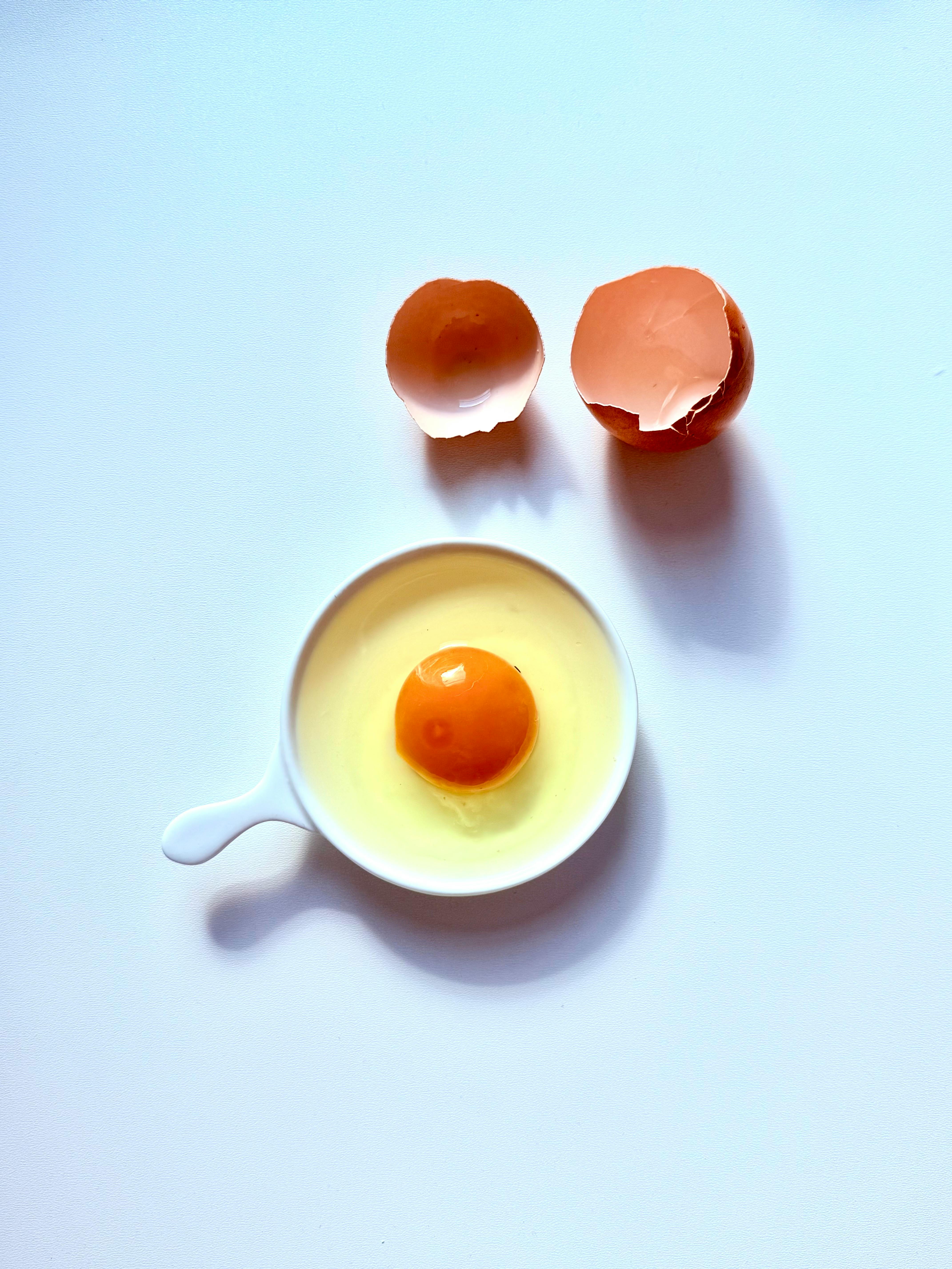 아침 식사에 포함할 단백질 식품