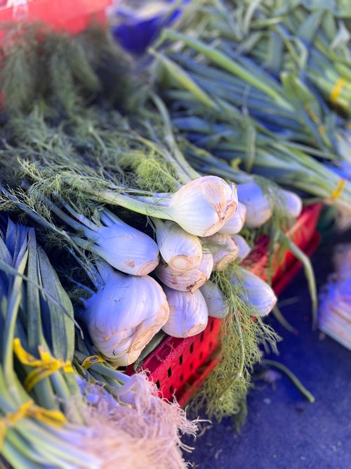 Free Close-up of fresh fennel bulbs displayed on a red crate at an outdoor farmers market. Stock Photo