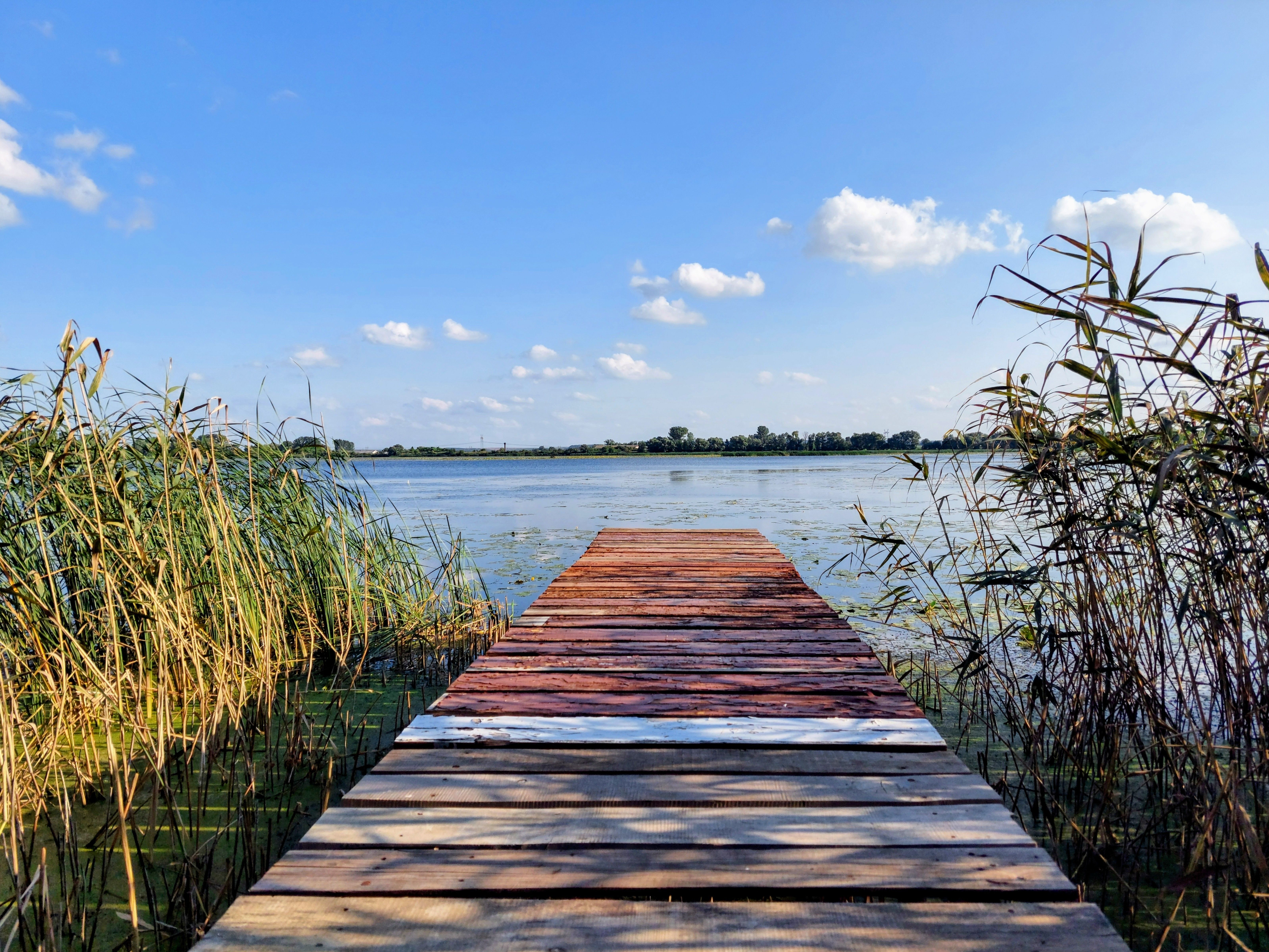 Rustic wooden pier on tranquil lake under blue sky · Free Stock Photo