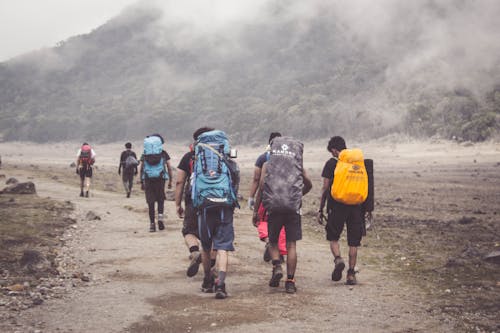 Foto d'estoc gratuïta de agrupar, alpinista, alpinistes