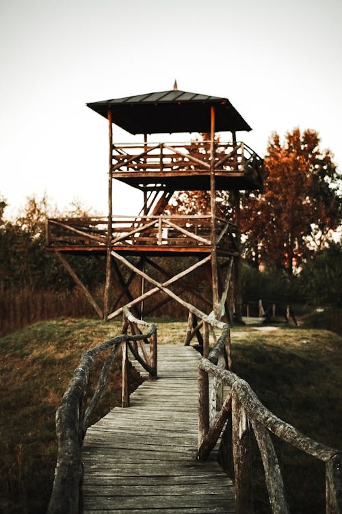 Photo of Wooden Bridge