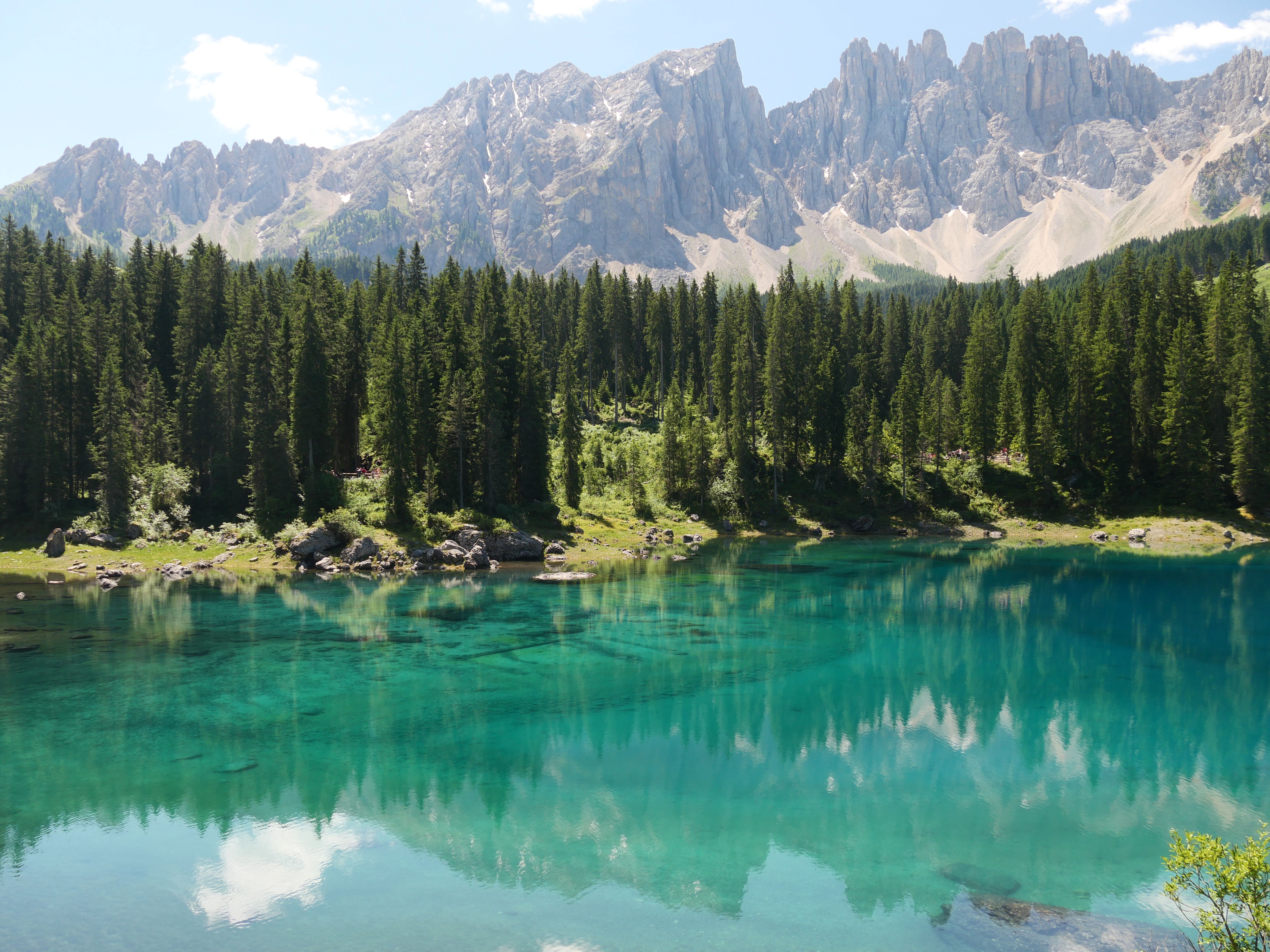 Bergsee mit Spiegelung der Wälder