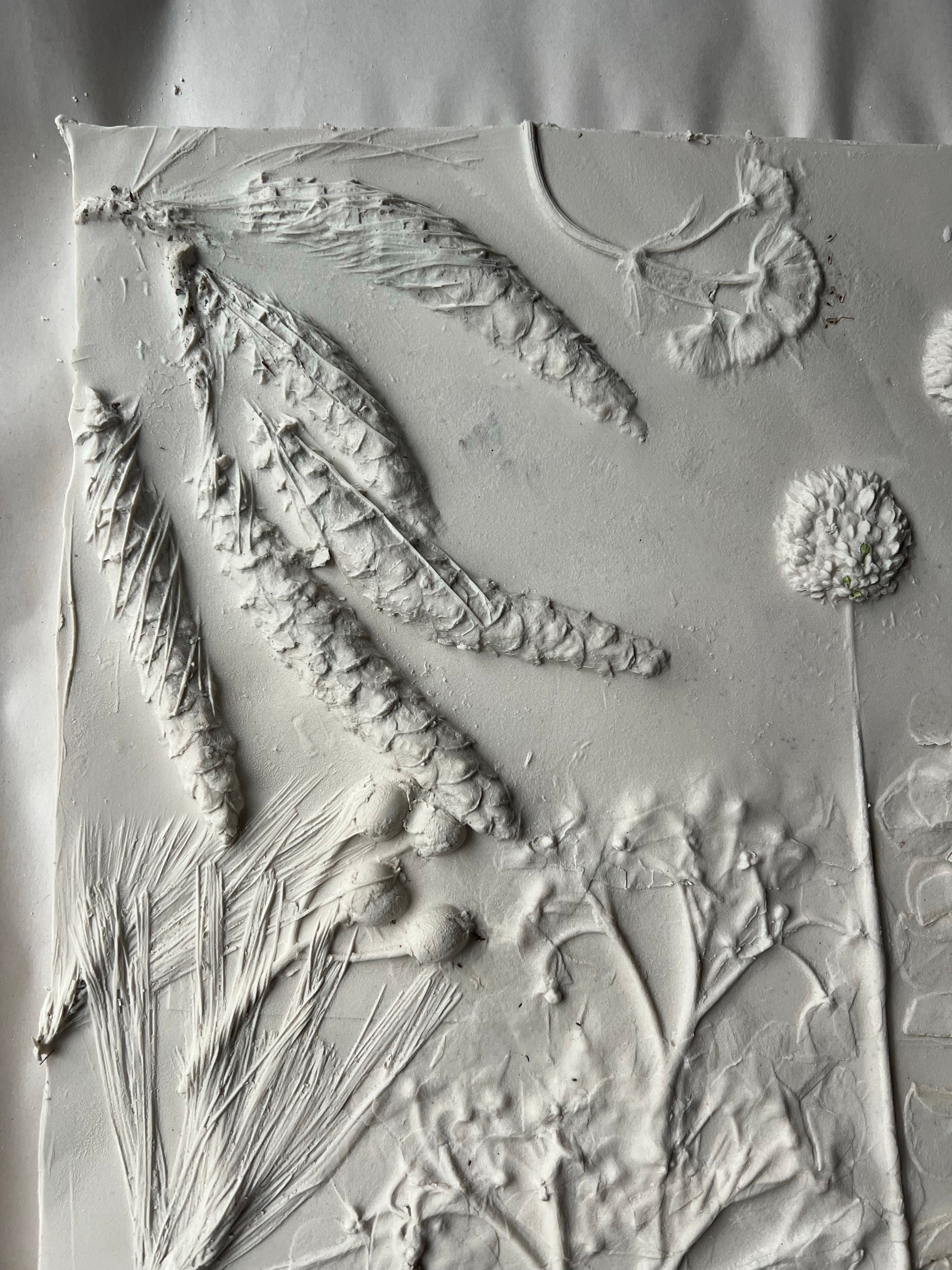 Textured Botanical Relief in White Plaster Art · Free Stock Photo