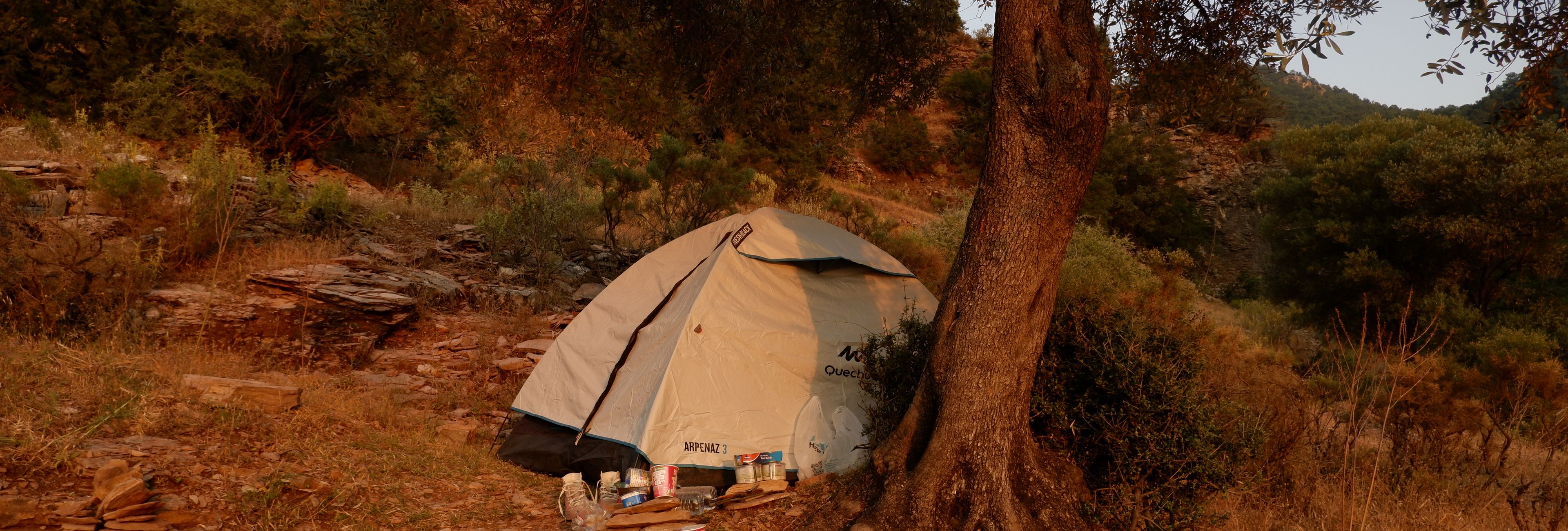 Essential Wilderness Survival Skills: Complete Beginner's Guide (2026)