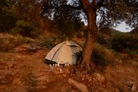 Outdoor camping scene featuring a pitched tent under a large tree in a natural forest setting.