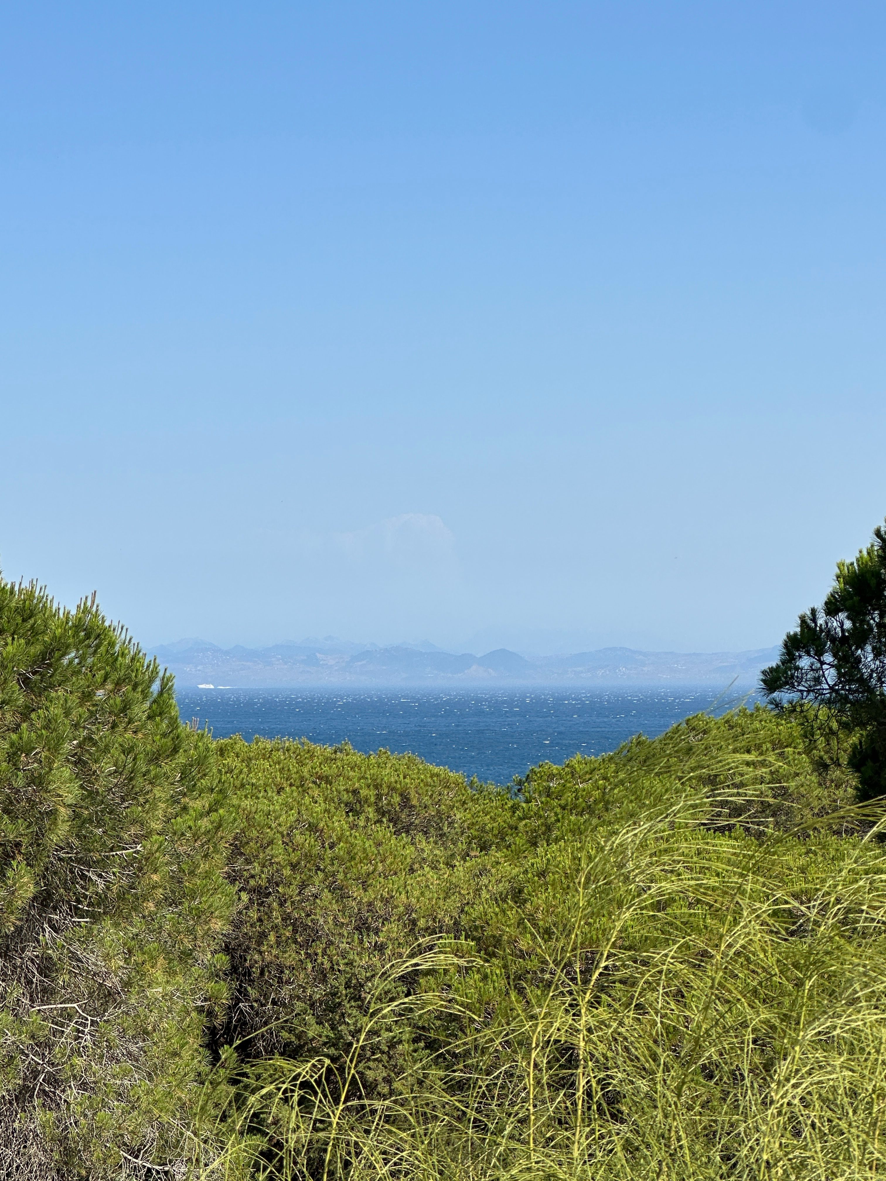 Scenic Coastal View with Lush Greenery · Free Stock Photo
