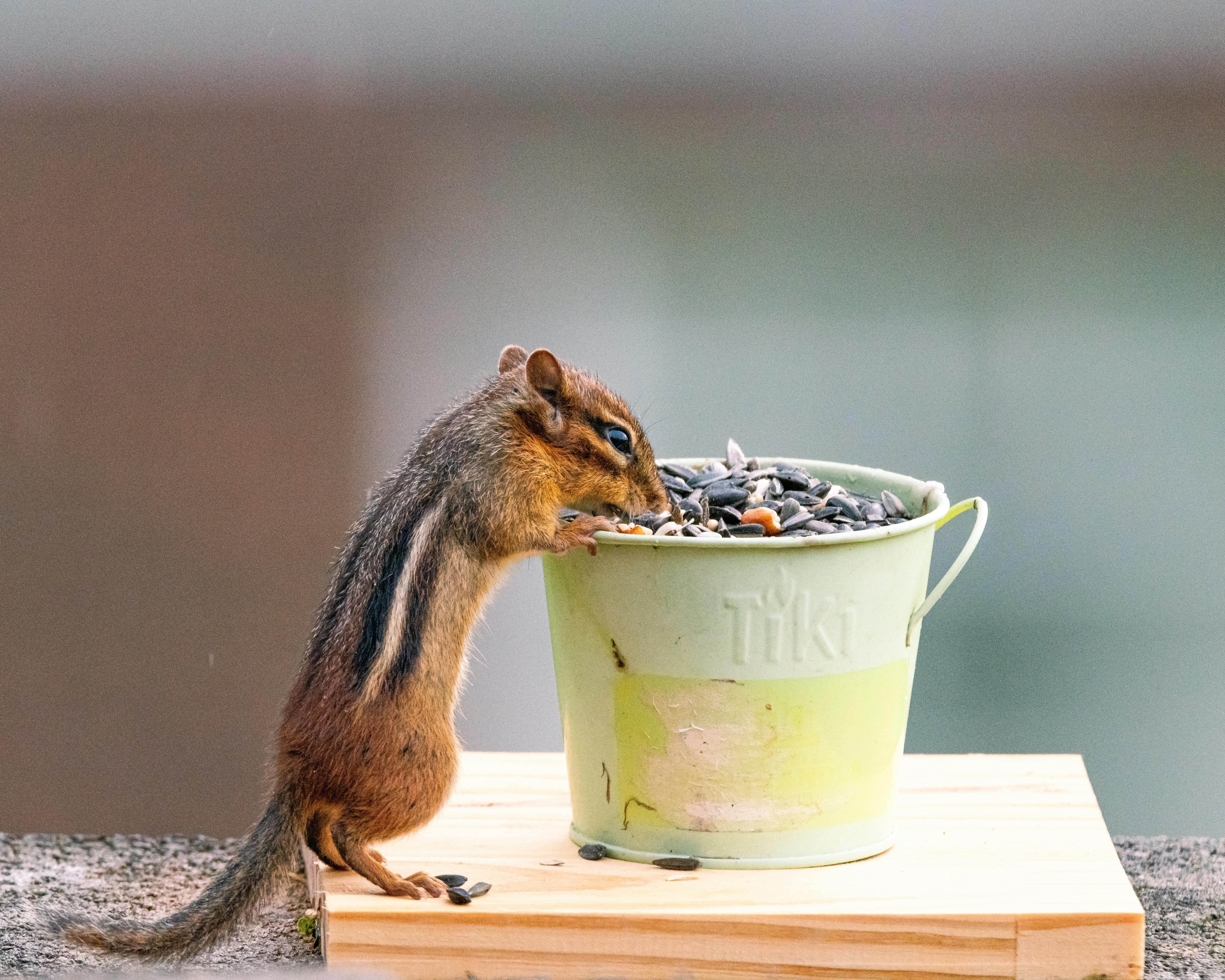 Top Secret Diet Hacks Science Does NOT Want You To Know