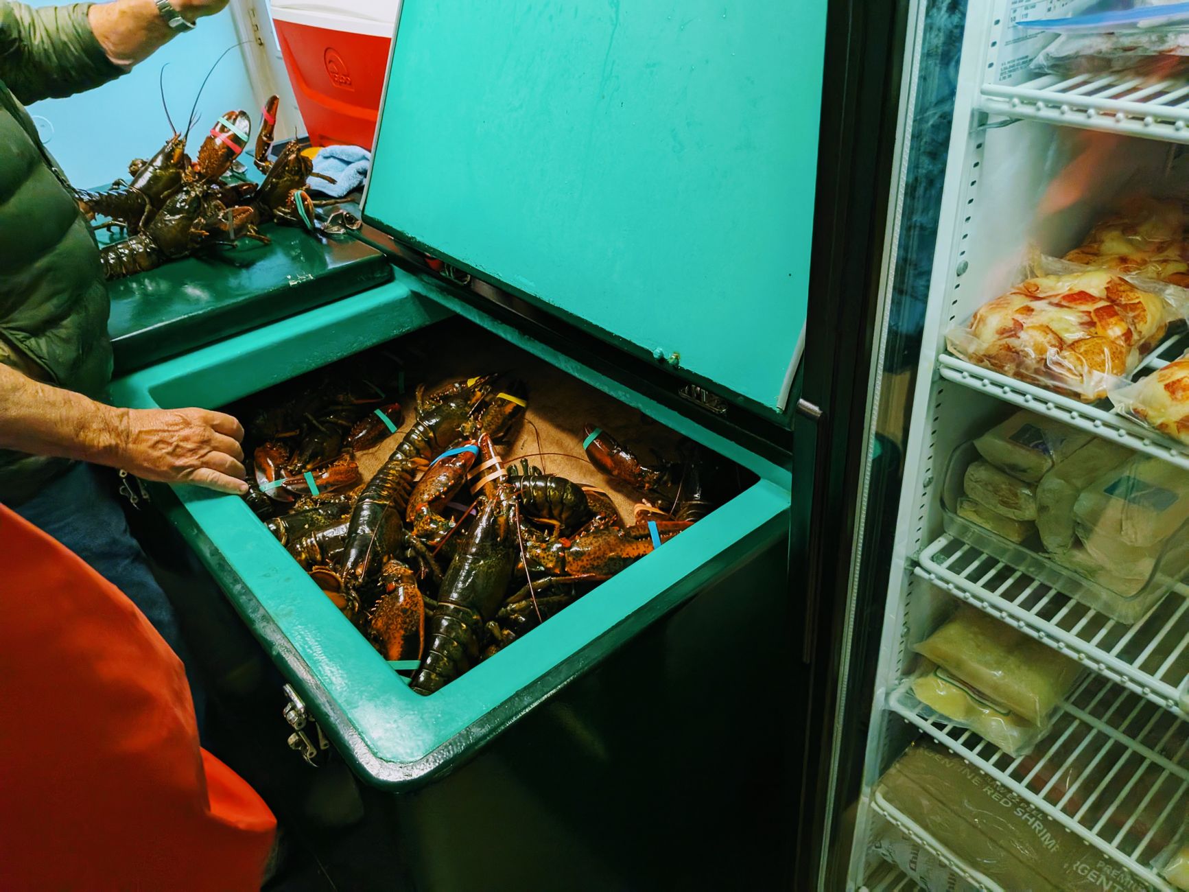 Lobsters packed in a storage bin at a seafood market with visible fresh goods nearby.