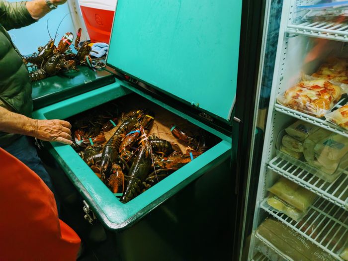 Live lobster