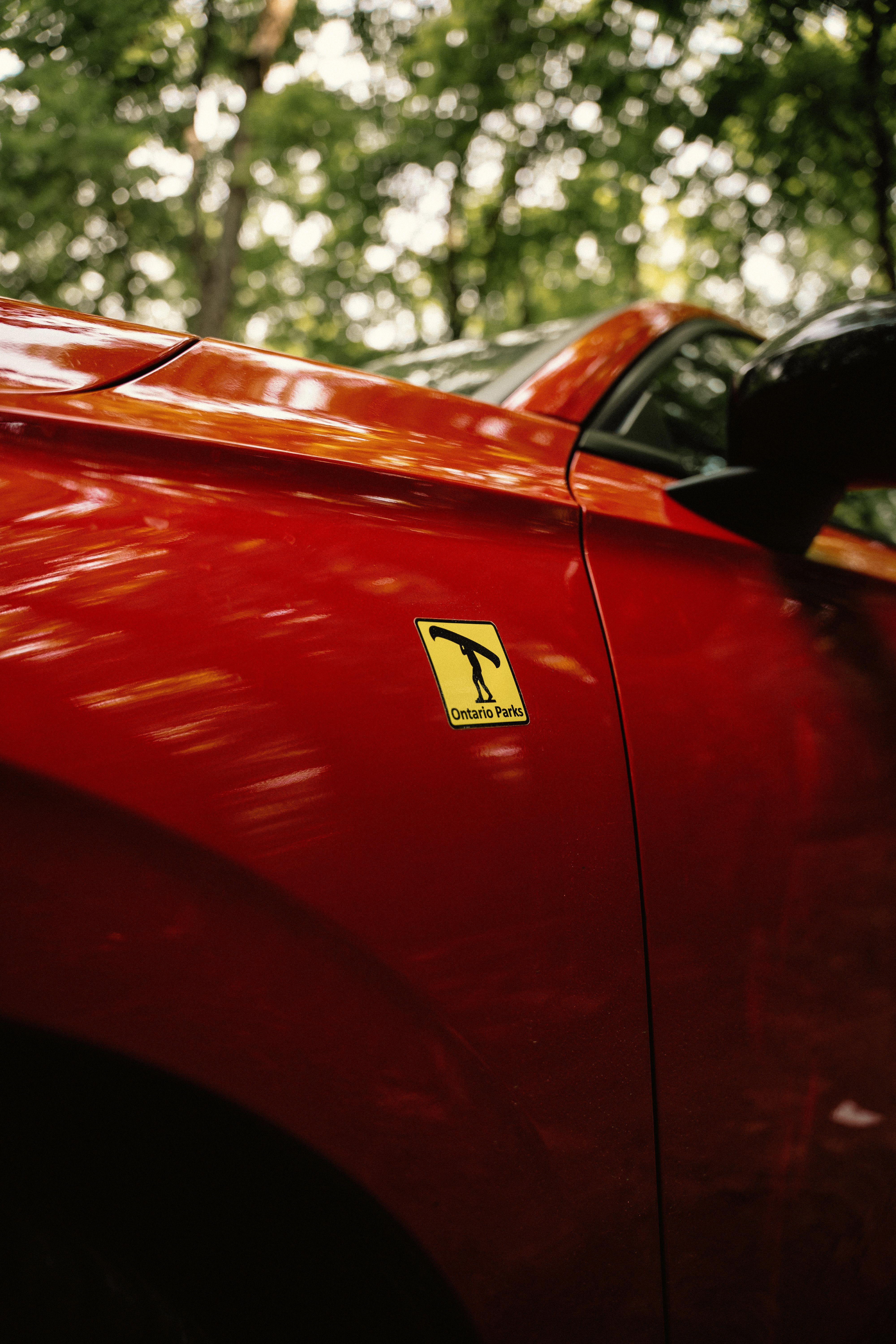 Vibrant red car with Ontario Parks sticker parked amidst lush greenery.