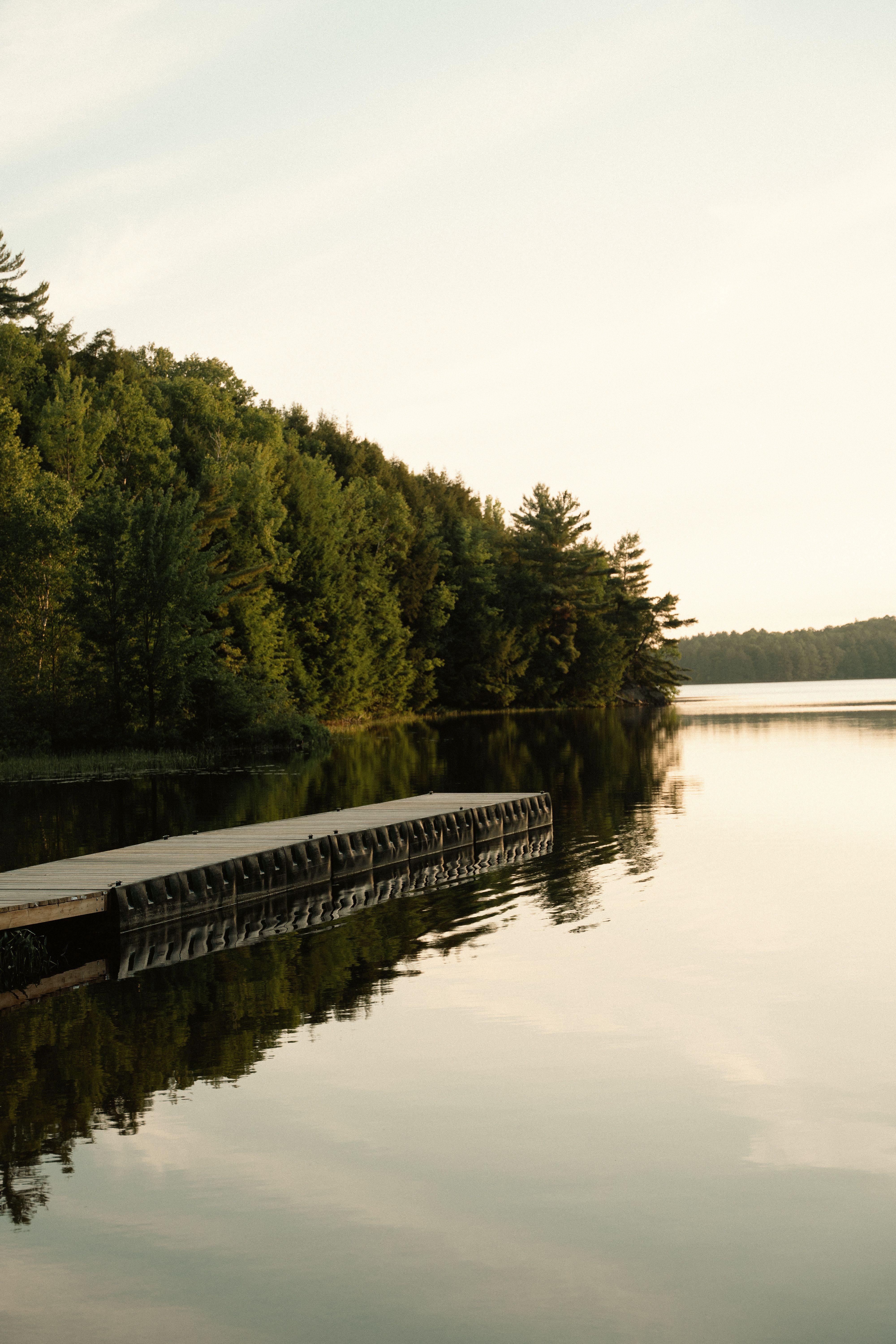 Peaceful lake view in Restoule, Ontario · Free Stock Photo
