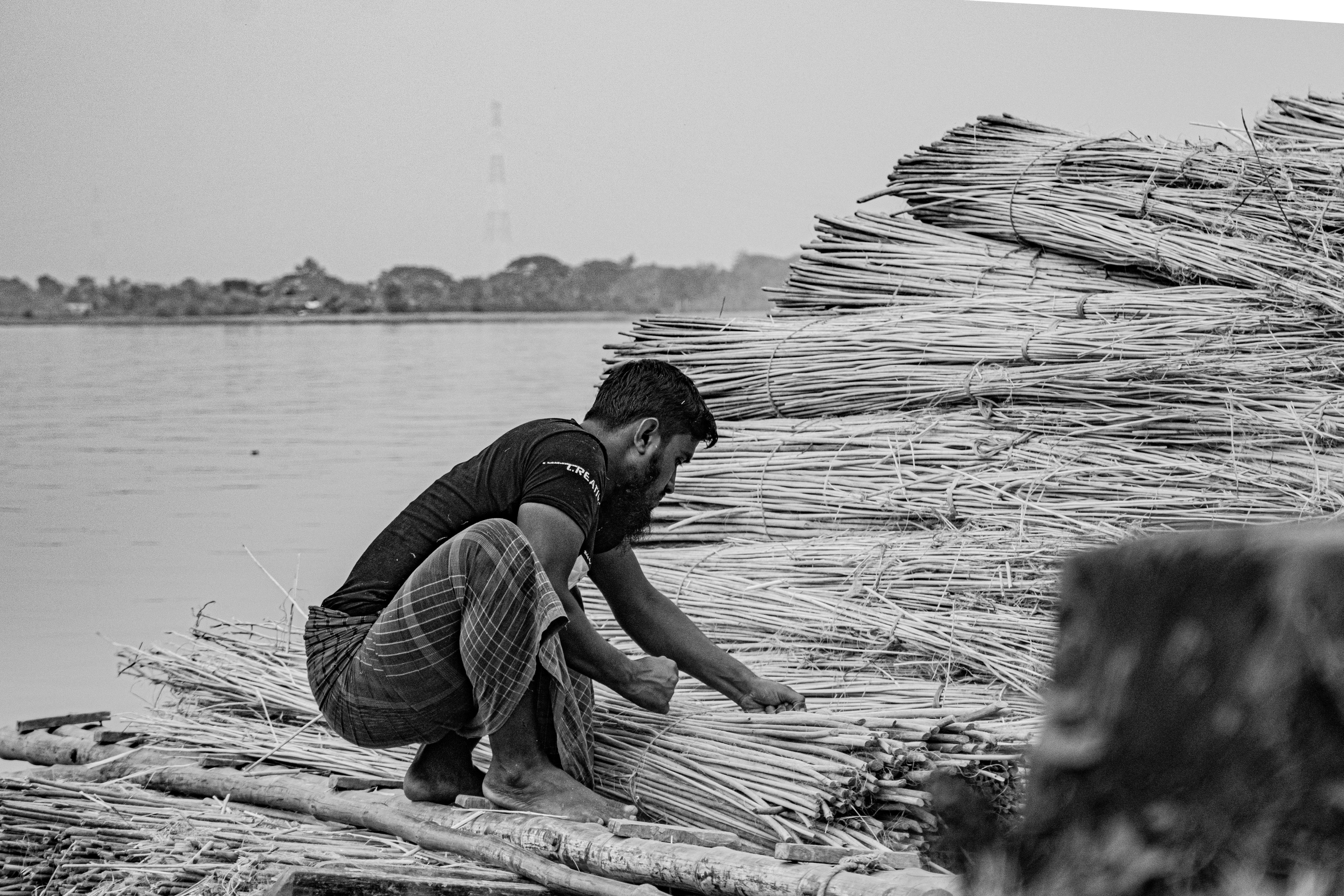 Man Bundling Reeds by River in Black and White · Free Stock Photo