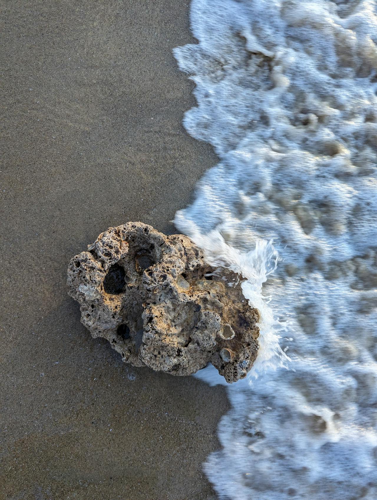 4 tôn giáo lớn có gốc rễ từ chủ nghĩa vô chính phủ