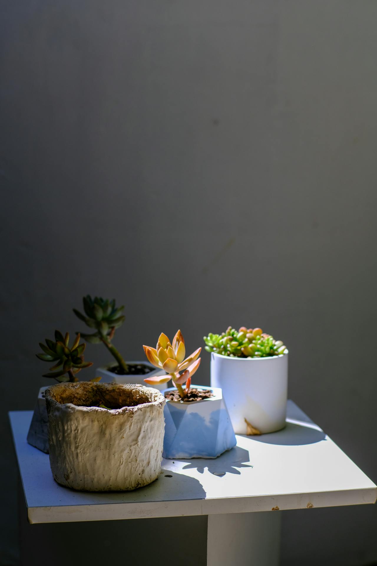 Quốc phòng châu Âu sau chiến tranh Nga – Ukraine