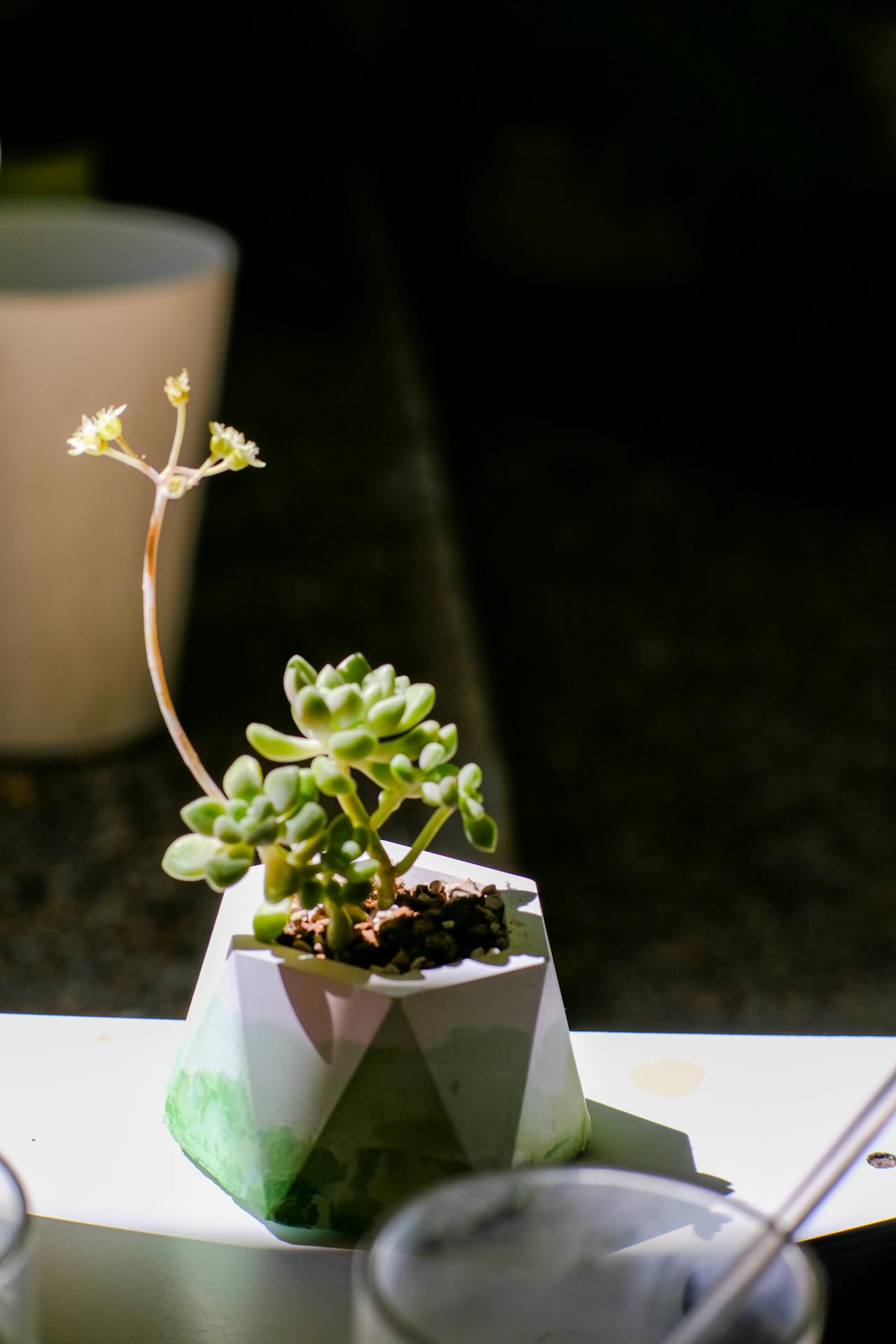 Câu chuyện bán viên đá và giá trị của cuộc đời