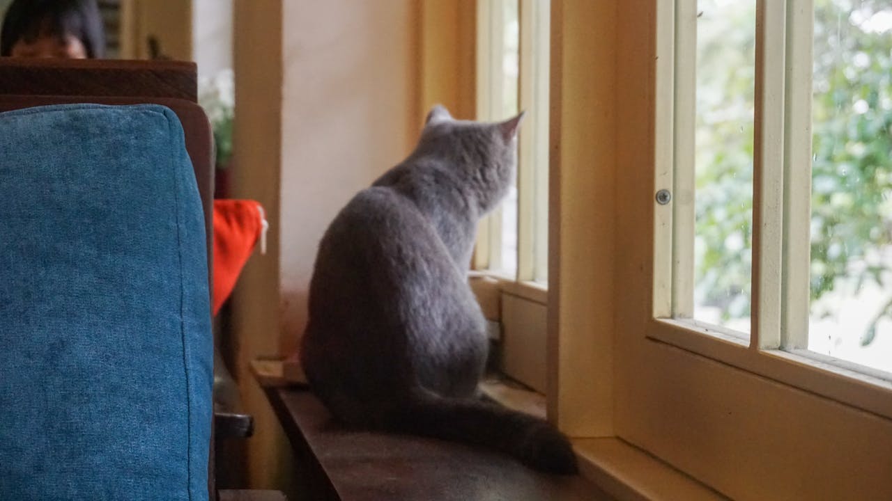 Phần mềm quản lý hỗ trợ khách sạn 5 sao