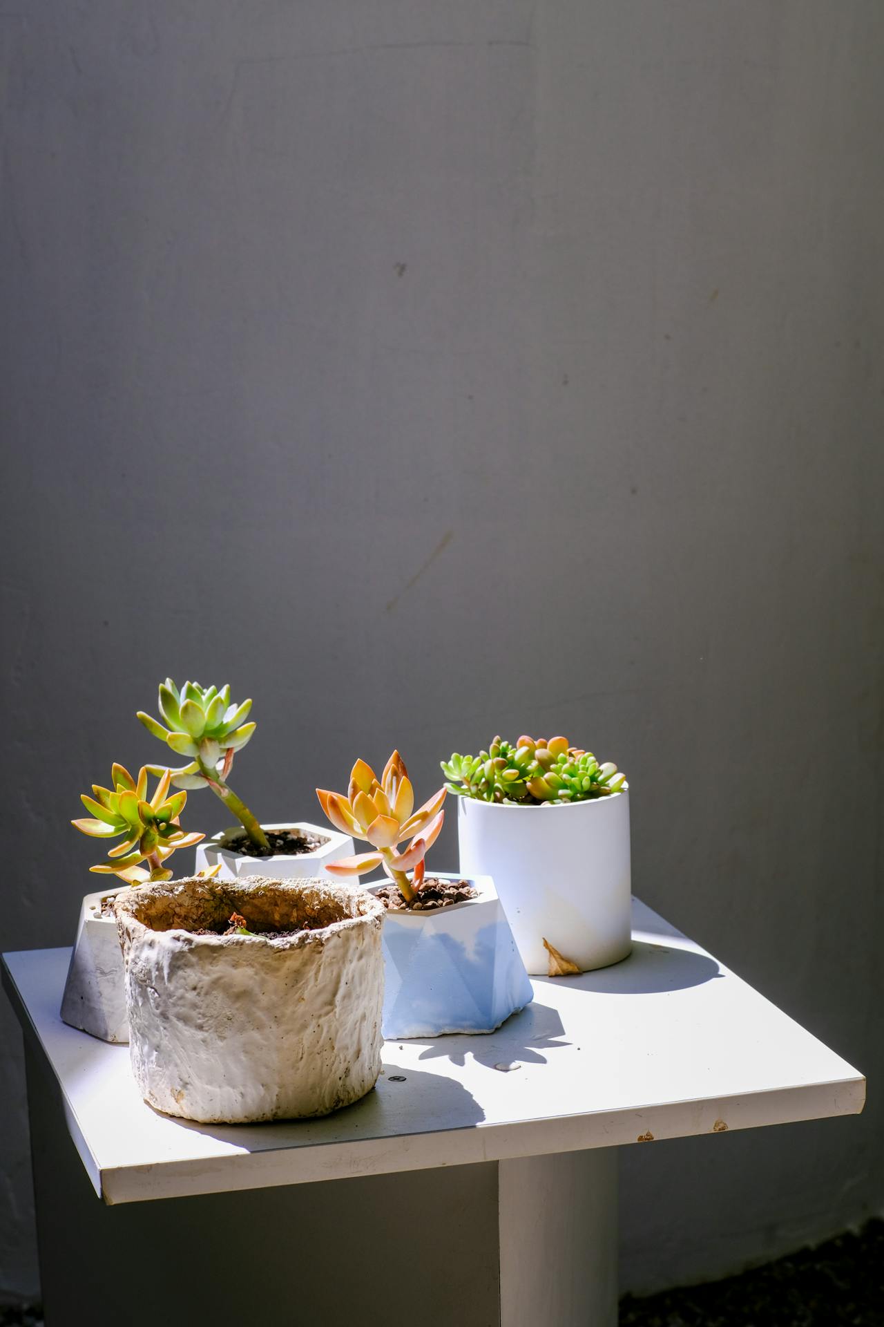 Thiên long bát bộ | Chương 14