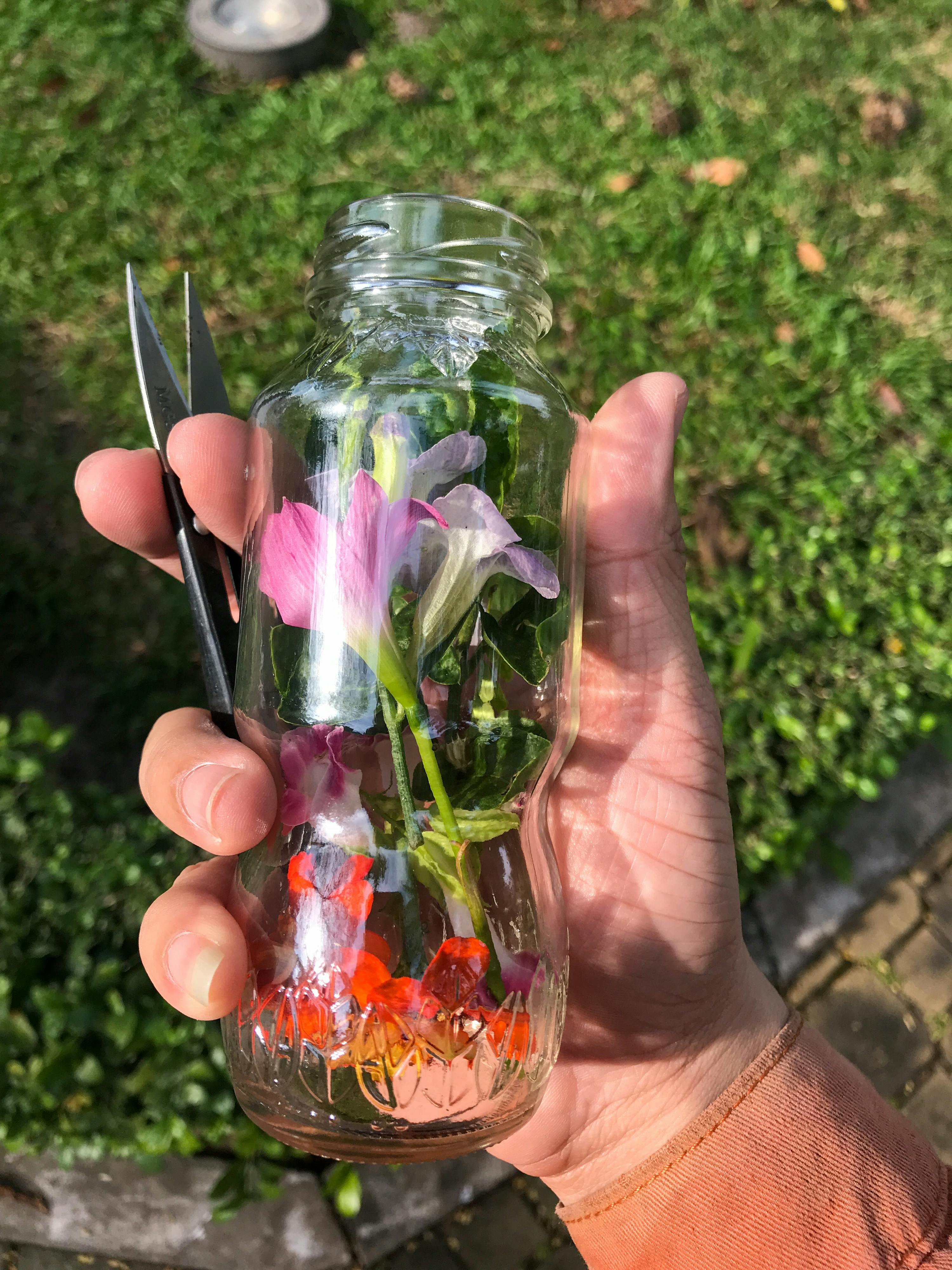 Biên niên ký chim vặn dây cót | Chương 42