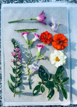 A creative display of pressed flowers and plants arranged on white fabric, highlighting natural beauty.