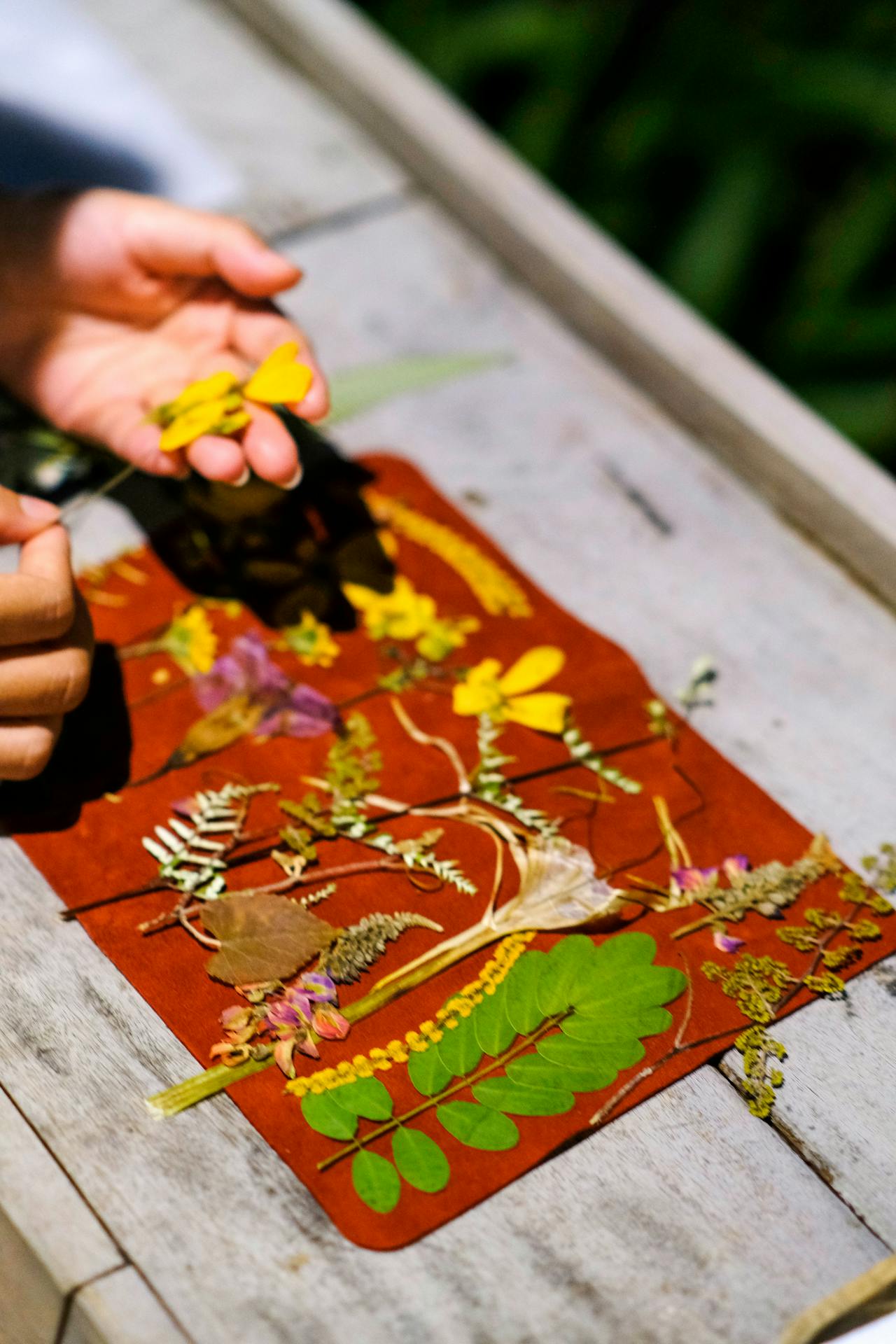 Mùa xuân vắng lặng | Chương 13