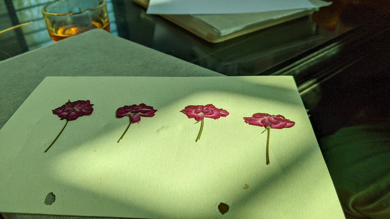 25 xu hướng công nghệ khách sạn năm 2025