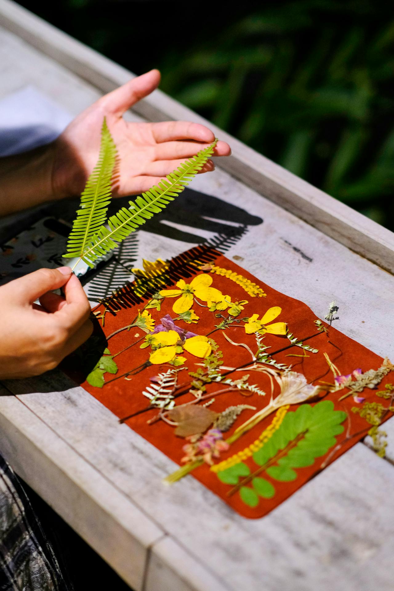 Viết bài văn nghị luận về cách giải quyết khi bị tổn thương vì những thông tin sai lệch