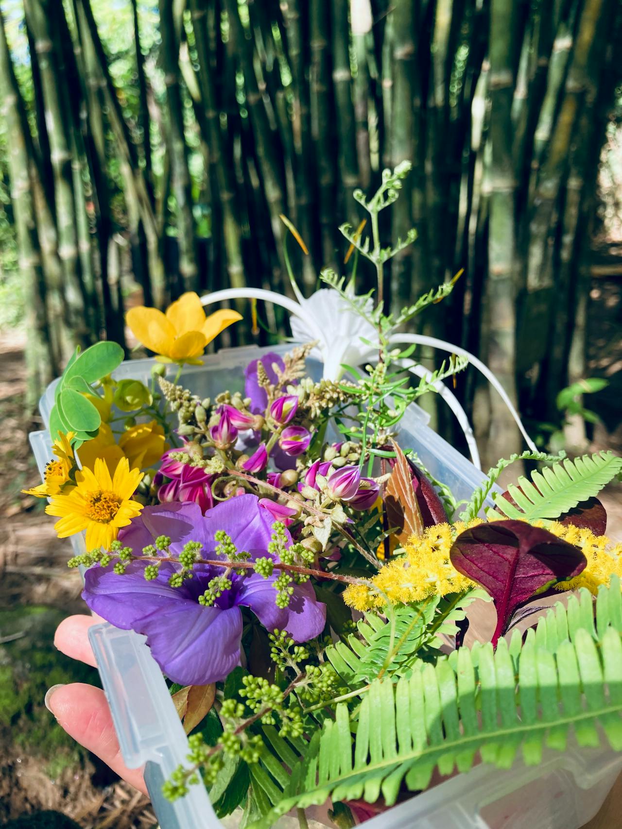 Cứu bộ phận hay bệnh nhân, lựa chọn nào đúng