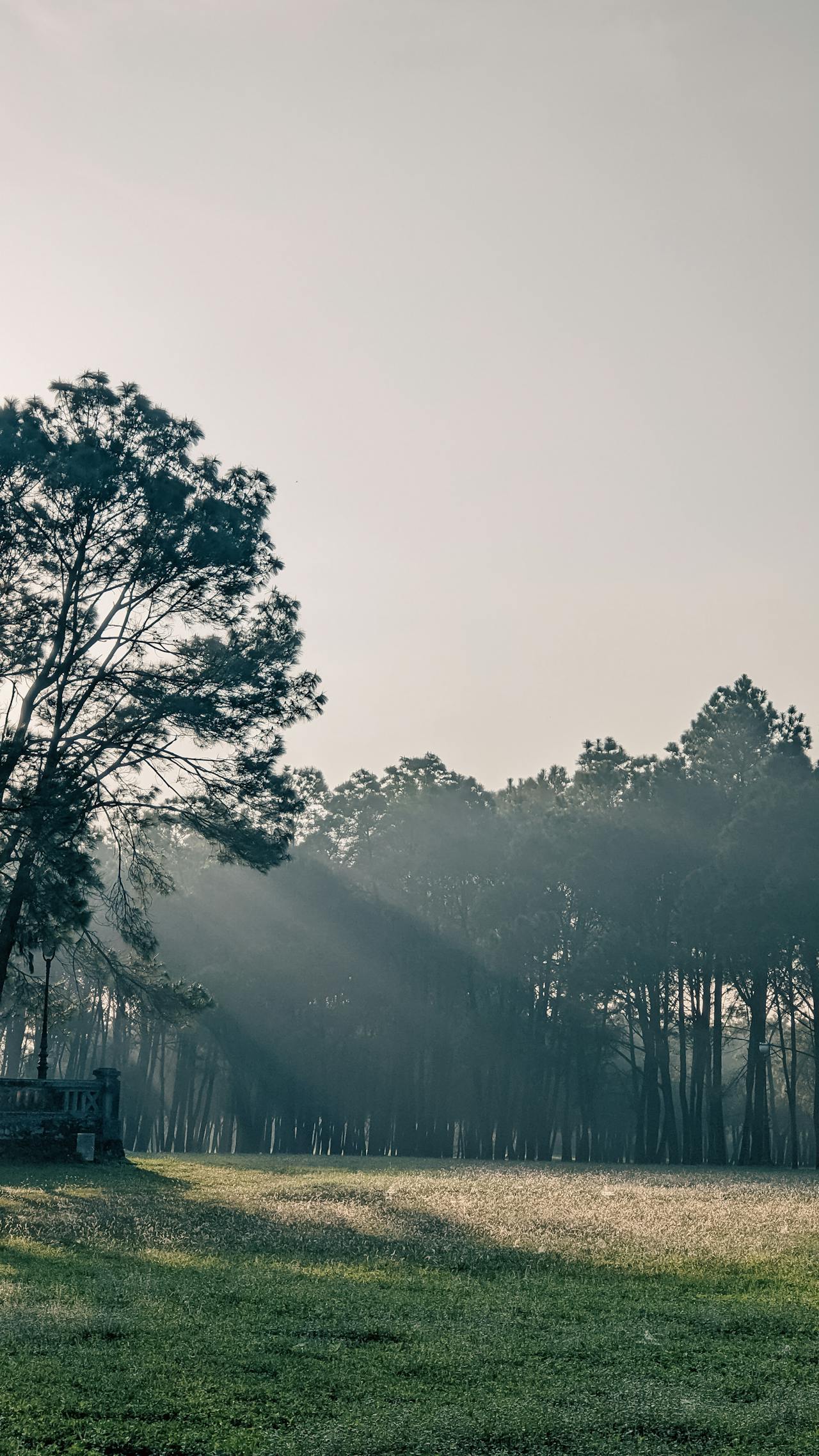 Gieo trồng hạnh phúc | Chương 43