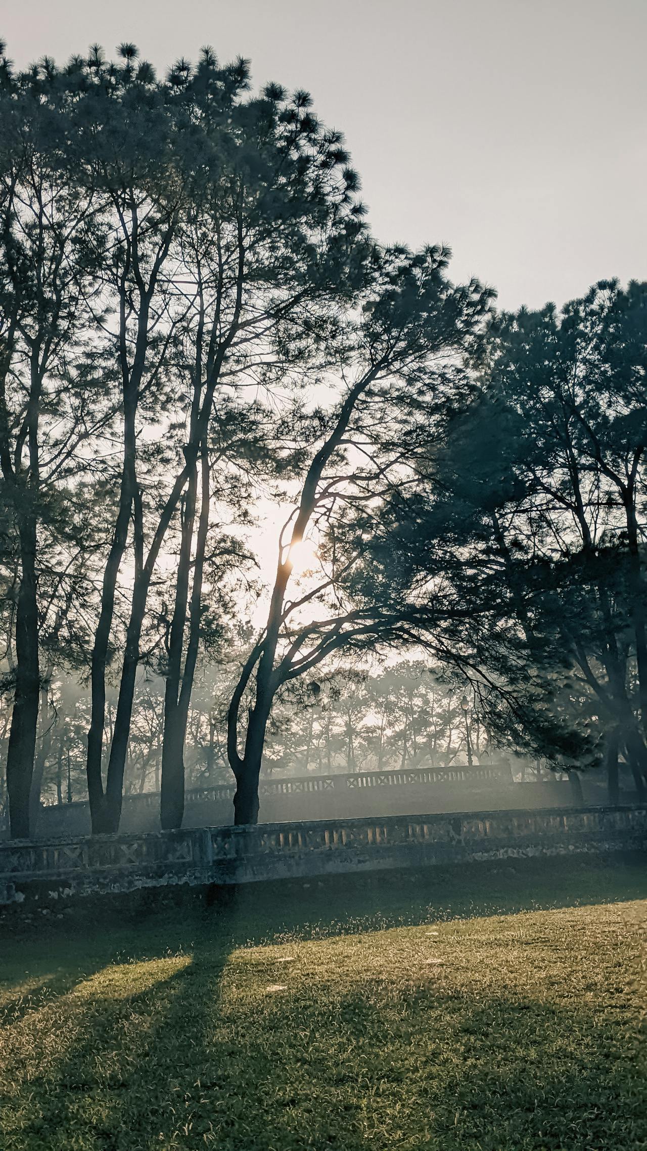 Trồng một nụ cười | Chương 06