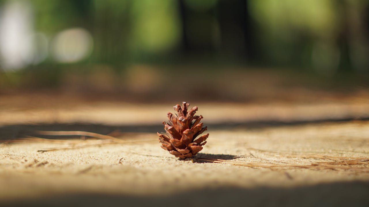 Thám tử lừng danh Conan | Chương 0910