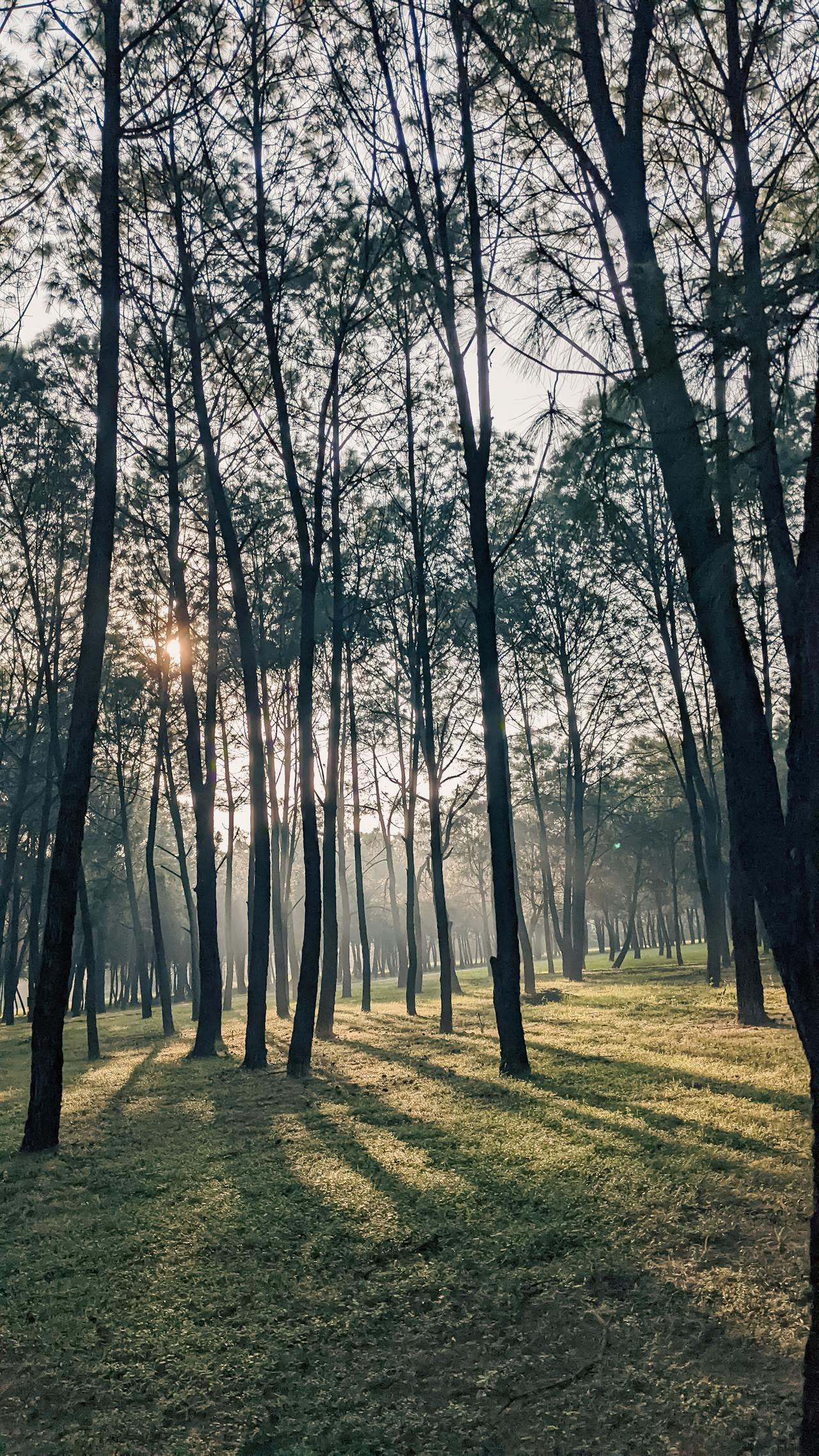 Kỹ thuật ảnh HDR trong nhiếp ảnh