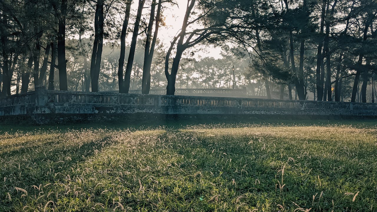 Lịch sử đen tối của ngành công nghiệp wellness