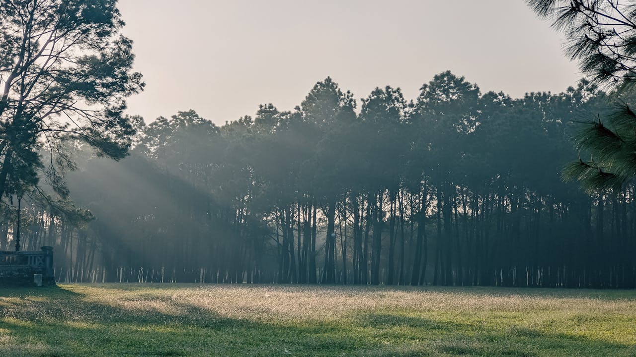 Gián điệp mạng | Chương 43