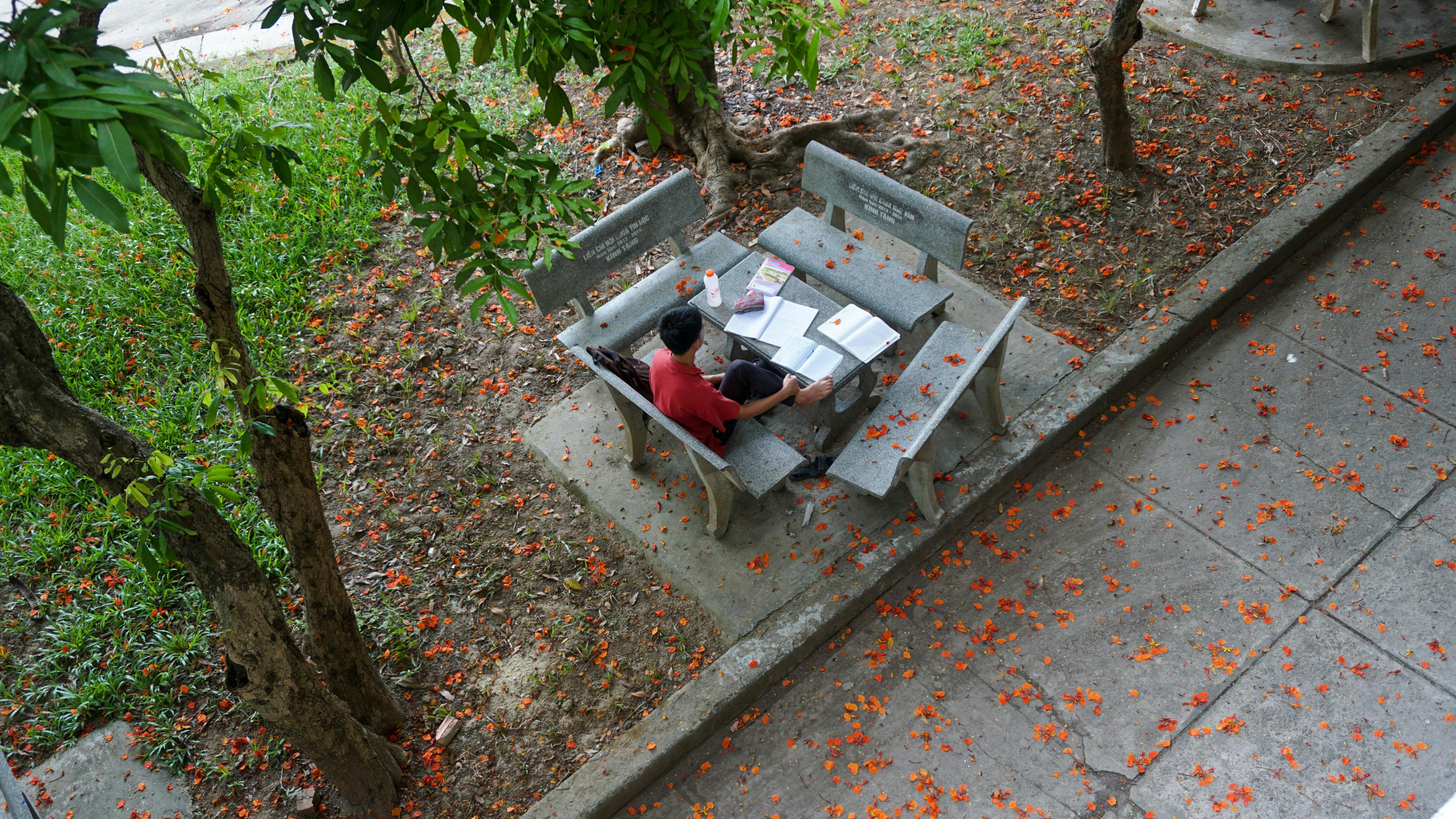 Vô thần, đức tin và sự dẫn lối