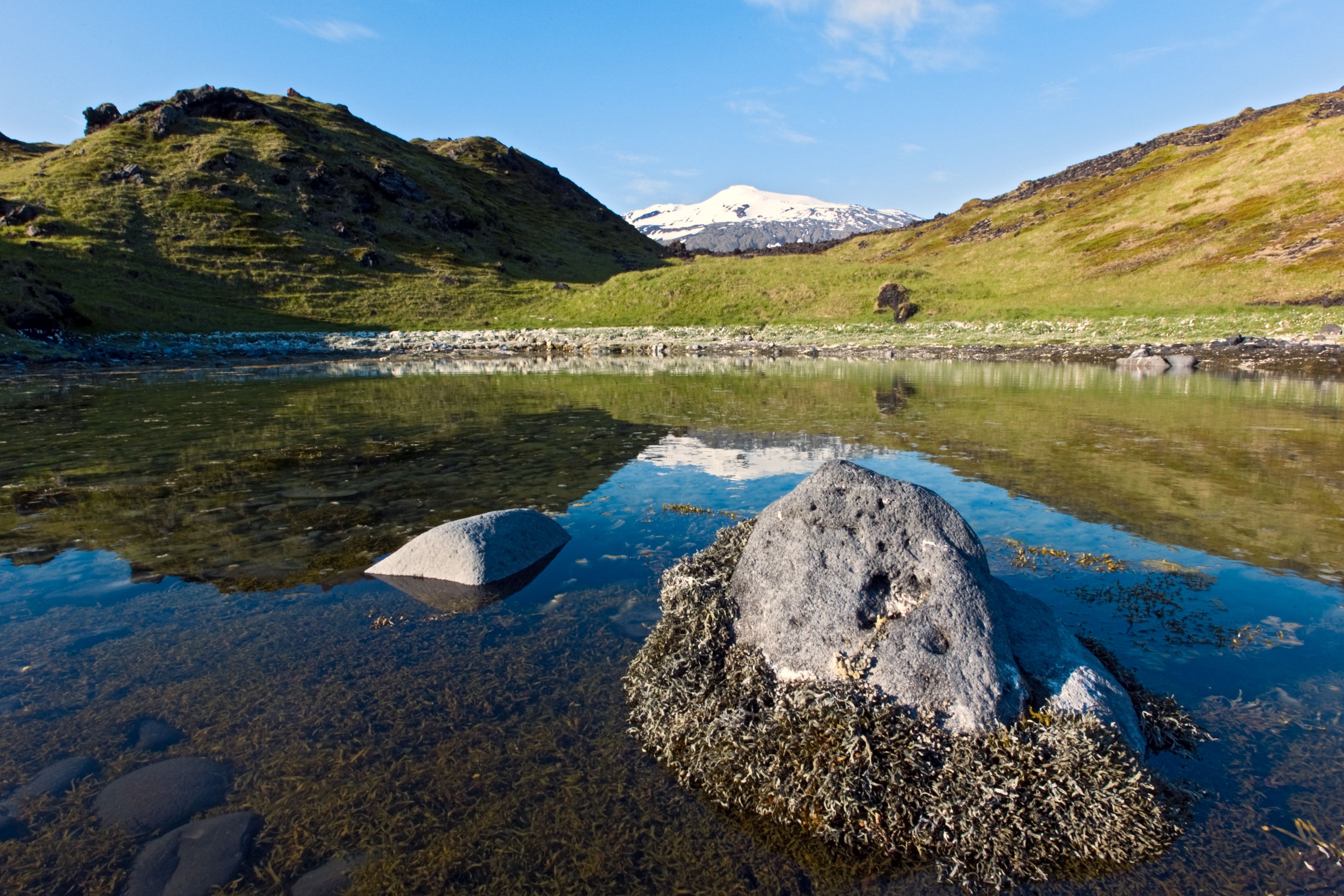 Icelandic landscape featuring a serene lake and distant snow-capped mountain under a clear blue sky.