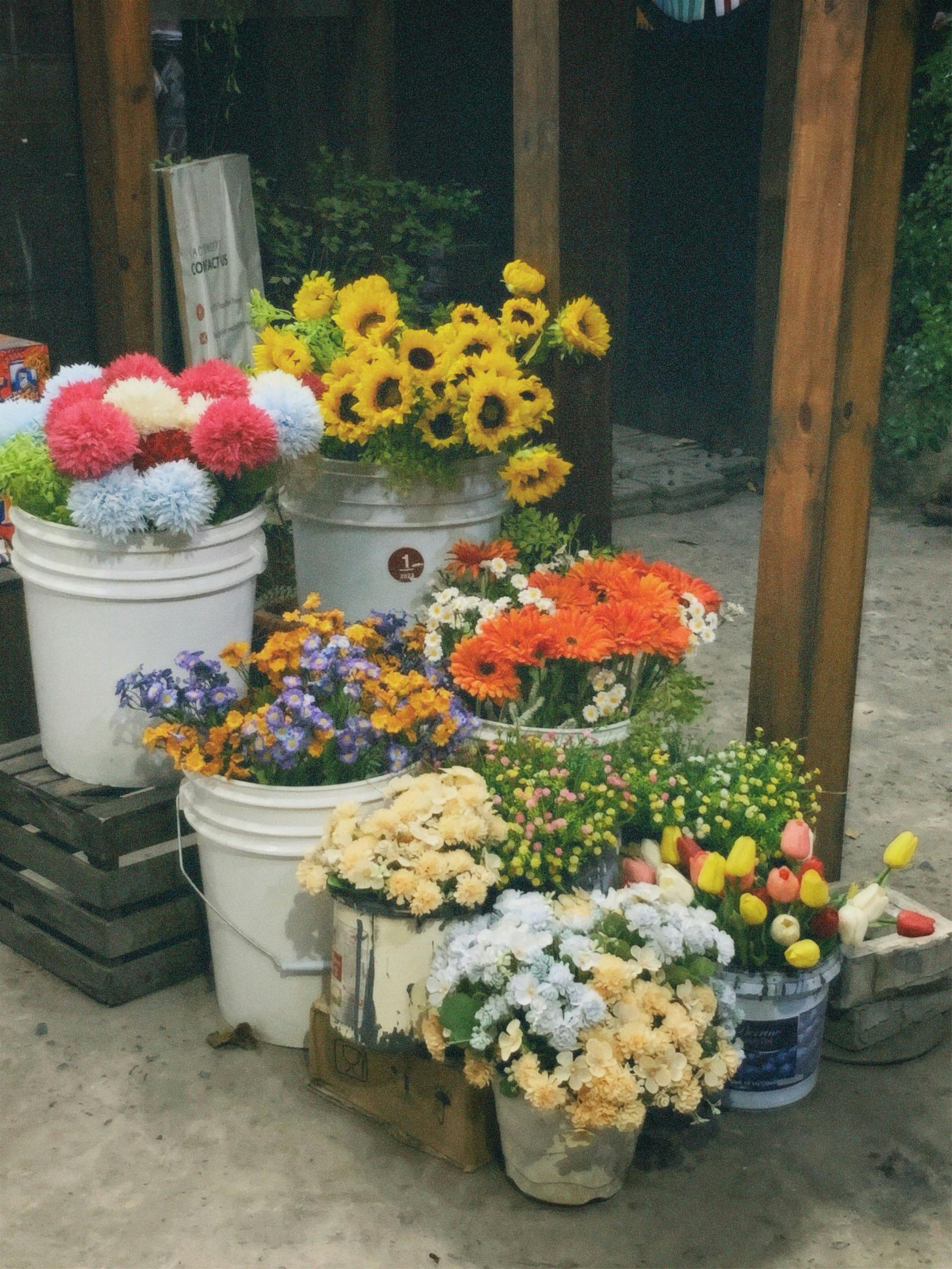 [ColoSach]-vibrant-display-of-various-flowers-in-a-rustic-outdoor-market-setup.
