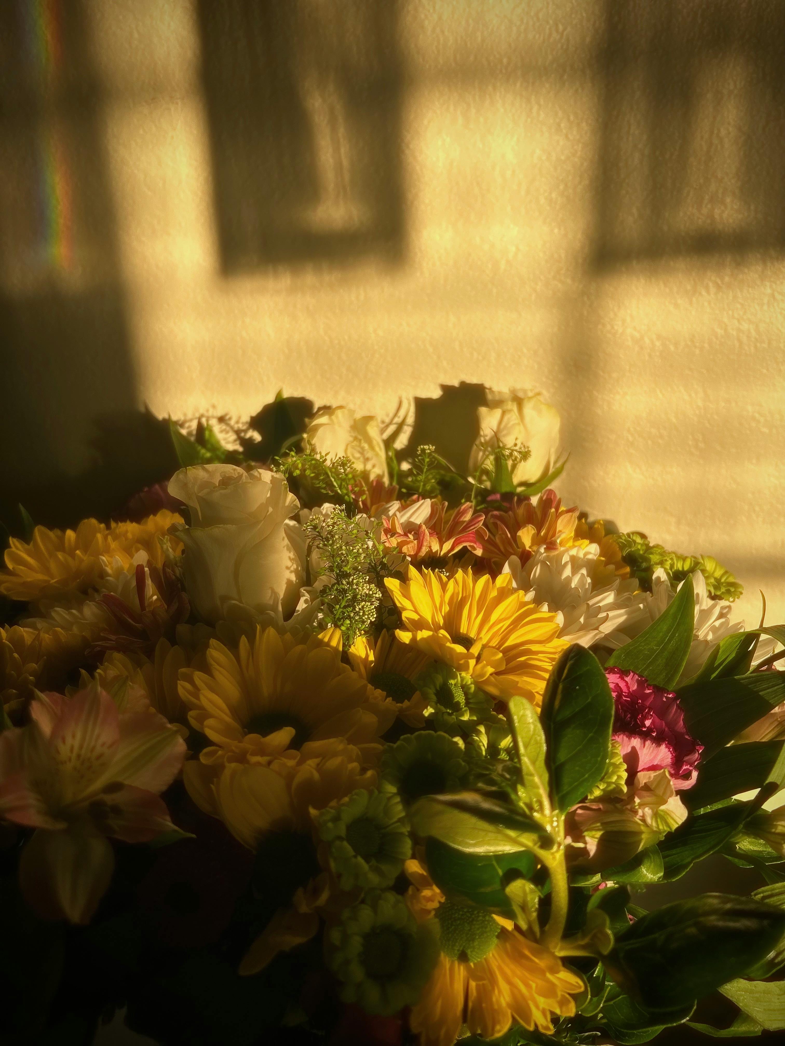 A vibrant bouquet bathed in warm sunlight casting soft shadows indoors.