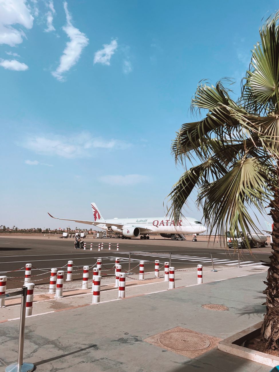 Een vliegtuig van Qatar Airways op een zonnig vliegveld, met palmbomen op de voorgrond.