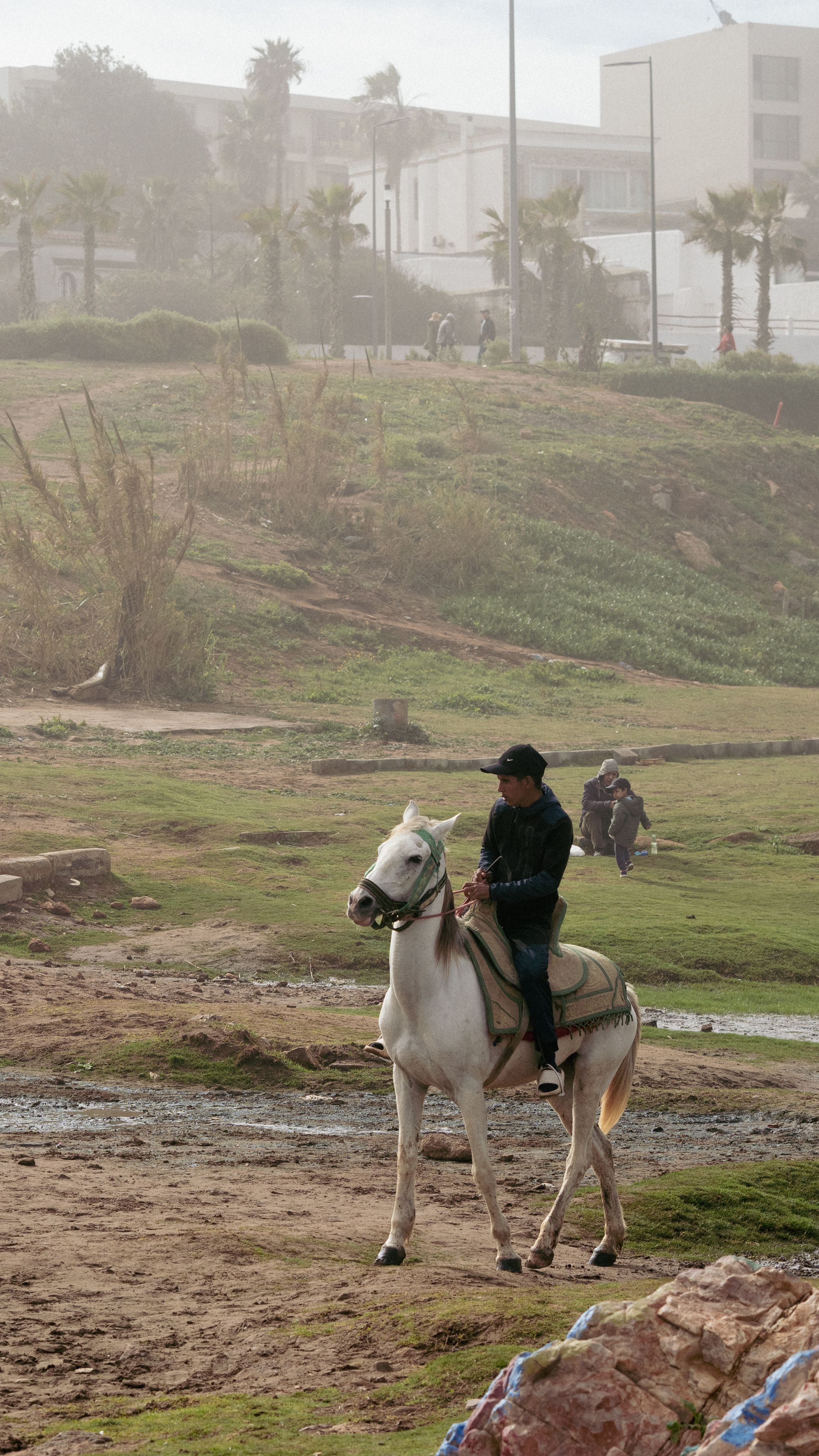 Man riding white horse in urban park setting · Free Stock Photo