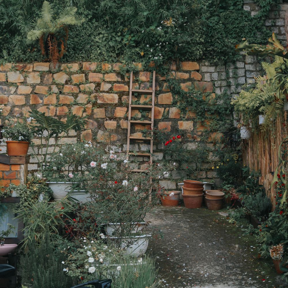Fence and Decking Painting in Charing Cross — dust sheets down and the room fully protected