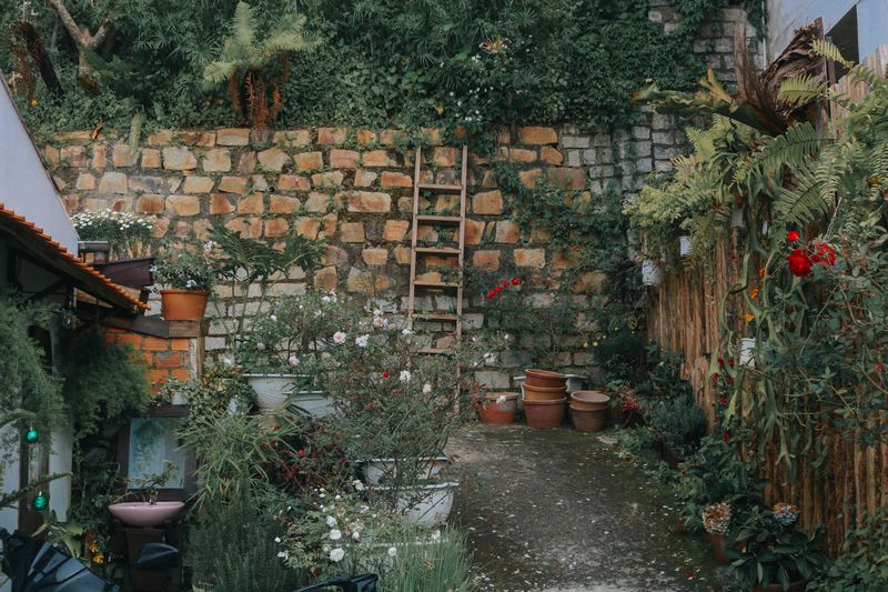 Landscaped garden with stone courtyard