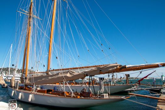 Beautiful sailboats moored at a marina under a clear blue sky, showcasing nautical elegance.