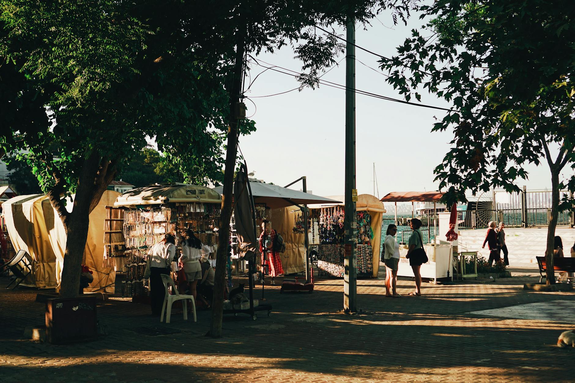 A bustling outdoor market with people browsing stalls under the trees on a sunny day. A bustling outdoor market with people browsing stalls under the trees on a sunny day.