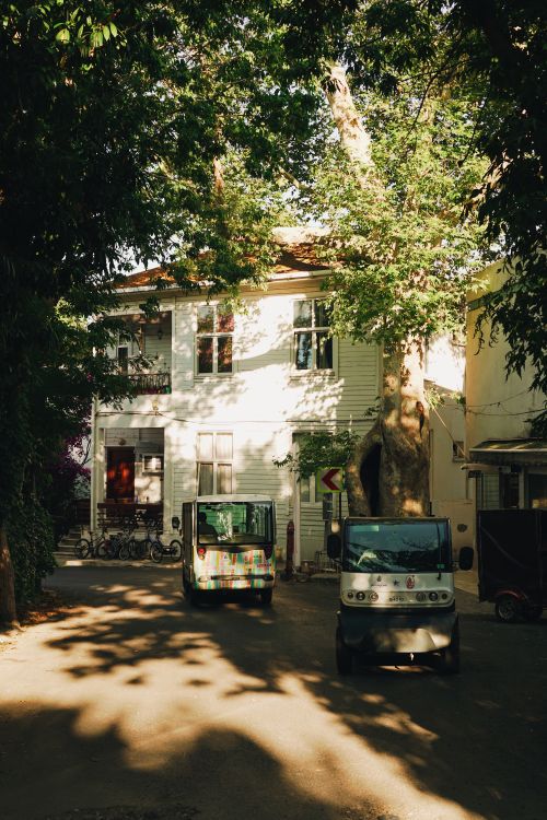 Free Sunlit urban street featuring a vintage building with vehicles parked, surrounded by trees. Stock Photo