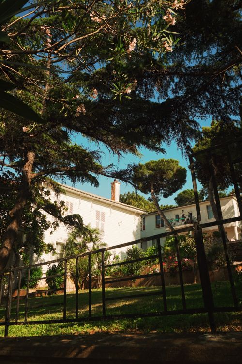 Free Sunlit villa amidst lush trees and flowers, capturing a serene outdoor setting. Stock Photo